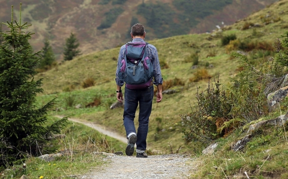 Wandern / Laufen